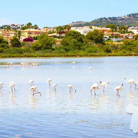 Costablancadreams Capri In Appartement *