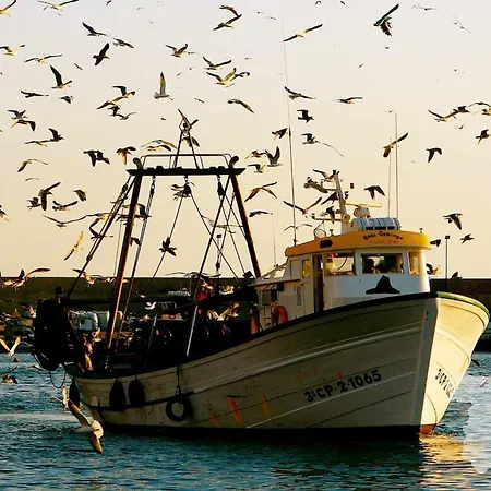 Costablancadreams Capri In *